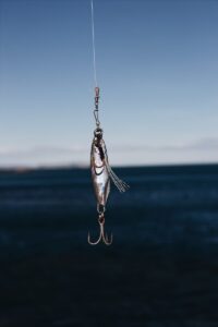 gray fish lure